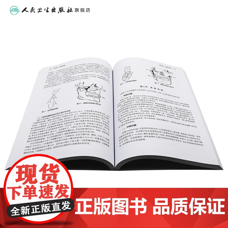 [店 ] 口腔基础医学概要 项涛李宪孟主编 2020年12月规划教材高清大图