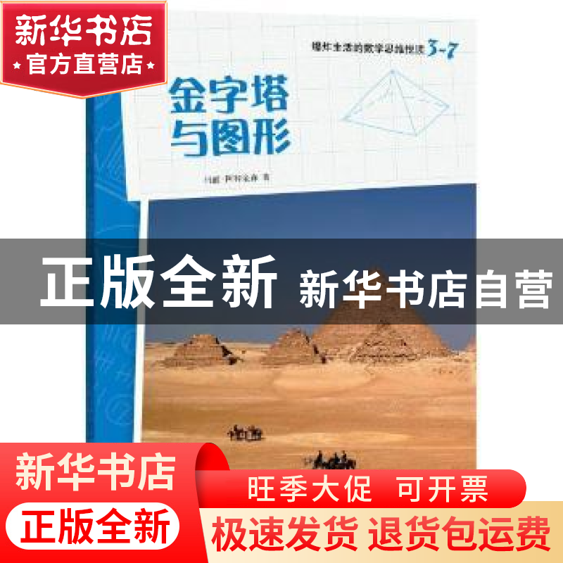正版 金字塔与图形 罗伯特·李 著,艾米·兰姆 绘 浙江教育出版社高清大图