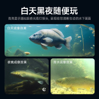 伴车安 探鱼器水下可视高清摄像头锚鱼显示屏夜视水底看鱼器摄像头钓鱼 F13PLUS7寸-30米可录像+1080p