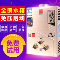闪电客✅使用液化气天然气的煤气热水器燃气强排式低水压快速启动家用洗澡 7升金色带显示全套配齐送2米气管 罐装液化气