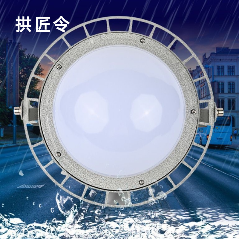 拱匠令 GJL6141 LED平台泛光灯 220V 20W IP68 (计价单位:个) 银色高清大图