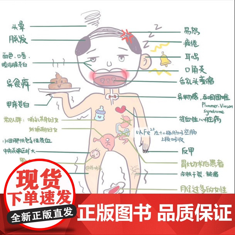 “菲”常好记医学生漫画笔记学 医全新方法 不枯燥 容易记 76个高频考点58个洗脑式口诀高清大图