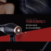 飞科电吹风FH6101