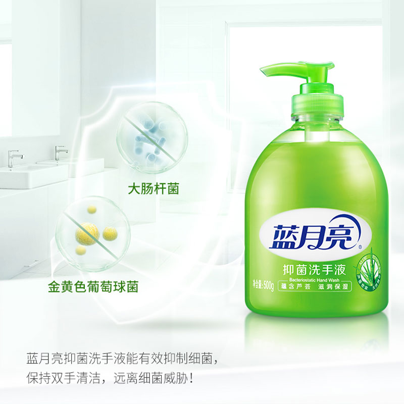 蓝月亮 洗手液组合:芦荟洗手液500g×3+芦荟洗手液瓶补 500g×3高清大图