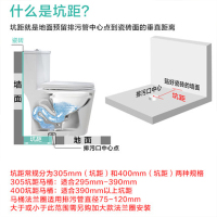 四季沐歌(MICOE)智能马桶一体机双杆清洗多功能座便器全自动冲洗烘干地排虹吸式超漩式智能马桶