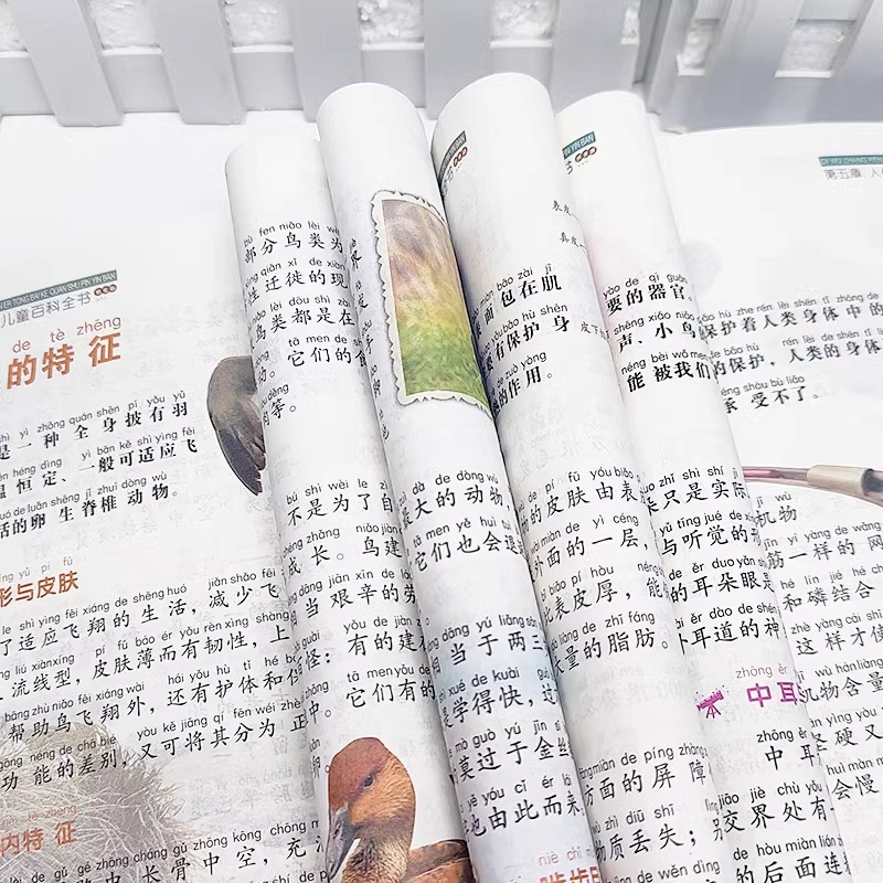 [全套8册]儿童百科大全 [正版]全套8册 少年儿童百科全书小学生昆虫自然植物恐龙中国世界地理兵器大百科科学知识科普类书高清大图