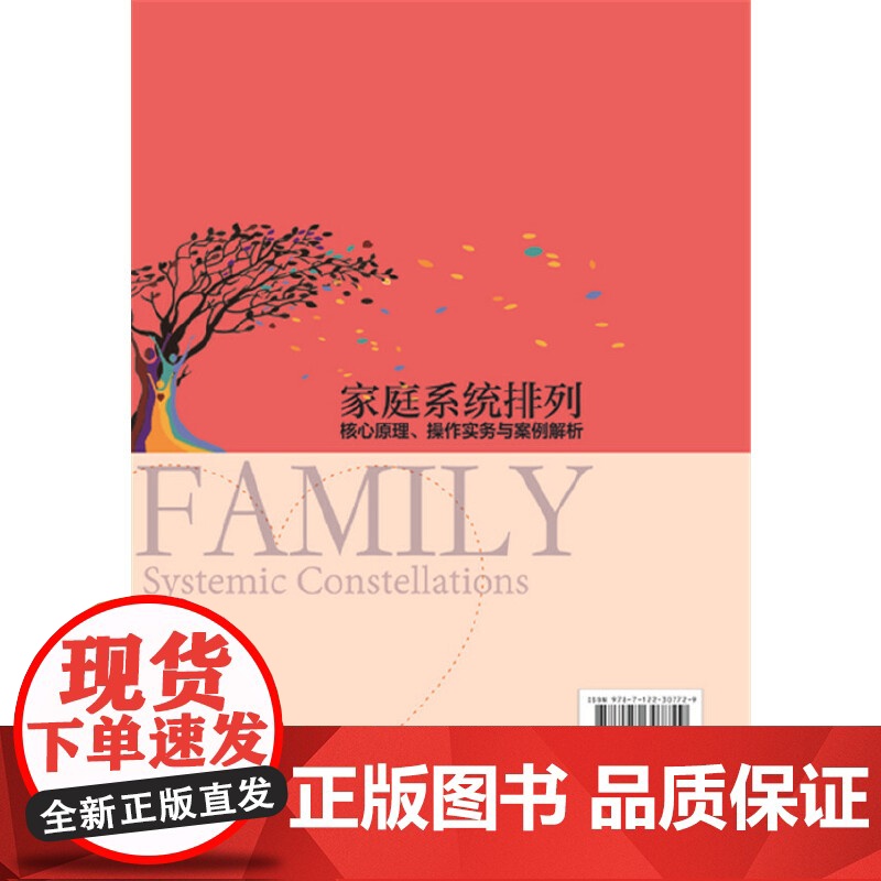 家庭系统排列:核心原理、操作实务与案例解析 化学工业出版社高清大图