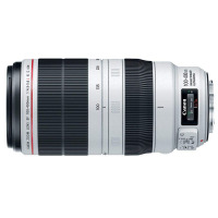 佳能(Canon) EF 100-400mm f/4.5-5.6L IS II USM全画幅单反相机镜头 远摄变焦镜头 77MM