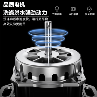 小天鹅(LittleSwan) 8公斤KG全自动波轮洗衣机租房宿舍可用免清洗一键脱水品质电机甩干预约快洗TB80V320