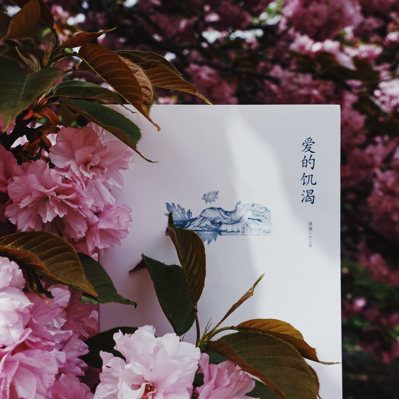 醉染图书爱的饥渴9787532792108高清大图