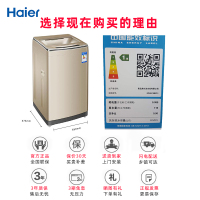Haier海尔波轮直驱双动力免清洗洗衣机8.5公斤MS8518BZ51 防缠绕家用 波轮洗衣机 变频自编程 节能洗