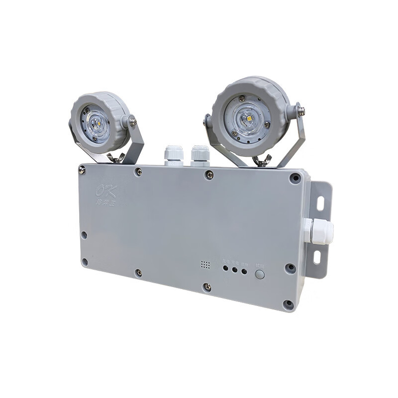 海洋王 ZFZD-E2W9401-GW 2W IP66 应急时间2h 主电220V/应急3.6V 冷白 LED 应急照明灯 (计价单位:盏) 灰色
