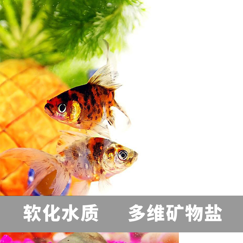 鱼缸用盐水族专用盐观赏鱼热带鱼盐罗汉鱼盐金鱼用盐海盐矿物盐高清大图