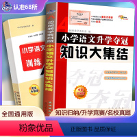 [正版]新版全新升级版共2册小学语文升学夺冠知识大集结+训练A体系 小升初语文总复习资料中小学辅导书小考试辅导工具书知