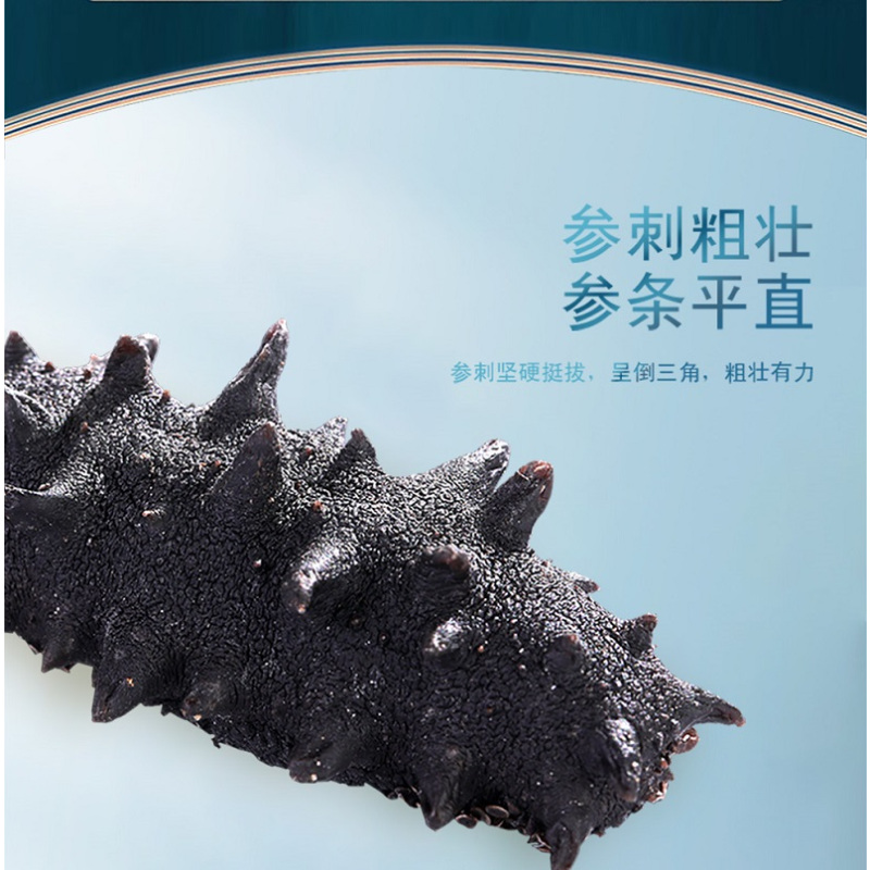 黄海(HUANGHAI) 淡干海参 500g 盒装