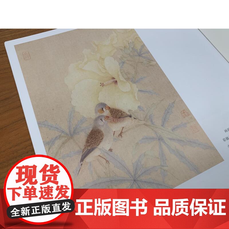 赵佶《桃鸠图》《竹禽图》《写生珍禽图》课徒稿 上海人民美术出版社高清大图