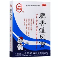 吉民 麝香追风膏 7cm*10cm 10片