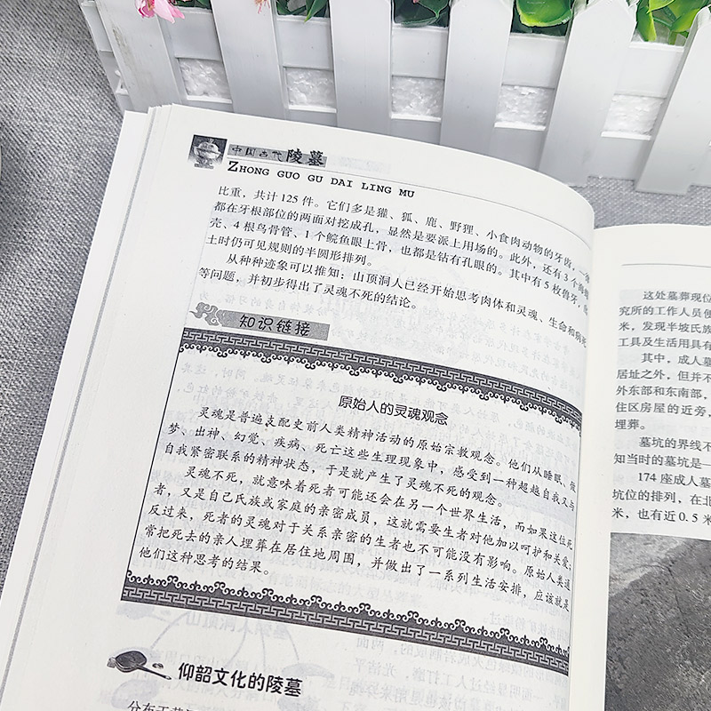 [正版]中国古代陵墓 中国传统民俗文化建筑系列 古代丧葬方式 秦始皇陵 三国帝陵 唐宋元明清时期的陵墓等不同的陵墓反映高清大图