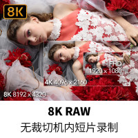 佳能(Canon) EOS R5 (单机身不含镜头) 数码微单相机