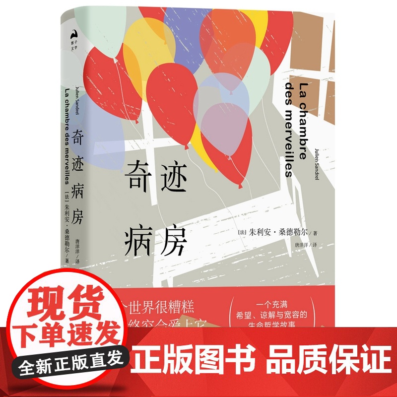 奇迹病房(国际出版界一见钟情的小说)高清大图
