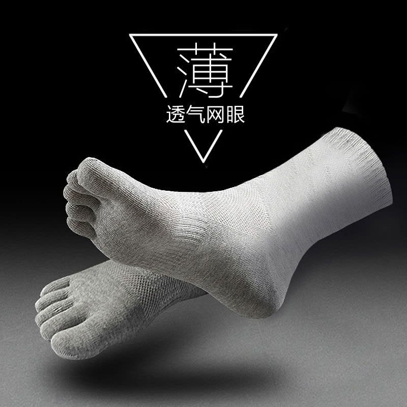 恒源祥五指袜男袜子男士纯棉薄款网眼透气分趾脚趾中筒袜图片