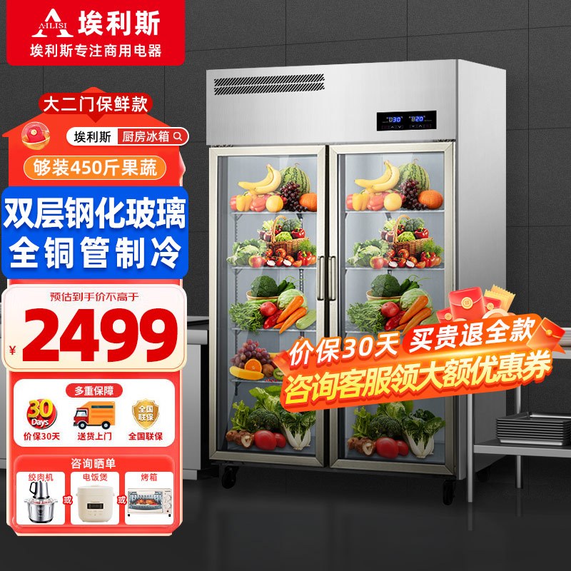 埃利斯(AILISI)厨房冰箱商用冷藏柜 水果蔬菜串串啤酒饮料保鲜冰柜 商用立式展示柜 CFR-40B2全冷藏 大二门