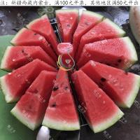 冰糖麒麟王种子西瓜种子早熟脆甜沙瓤多汁大果西瓜籽蔬菜种子四季