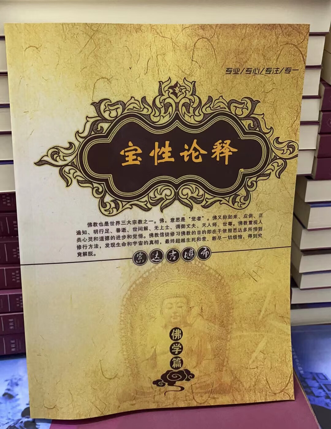 《宝性论释》《日常禅修窍诀》《佛子行 颂词与讲记》《赞戒论讲记》《梦中佛事》《净土三经释》《药师七佛功德经释》《弘法利生高清大图