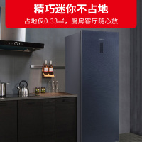 星星(XINGX)168升冷柜冰箱风冷无霜家用超薄电冰箱 立式冷冻柜 电脑温控保鲜柜 BD-168WV5C