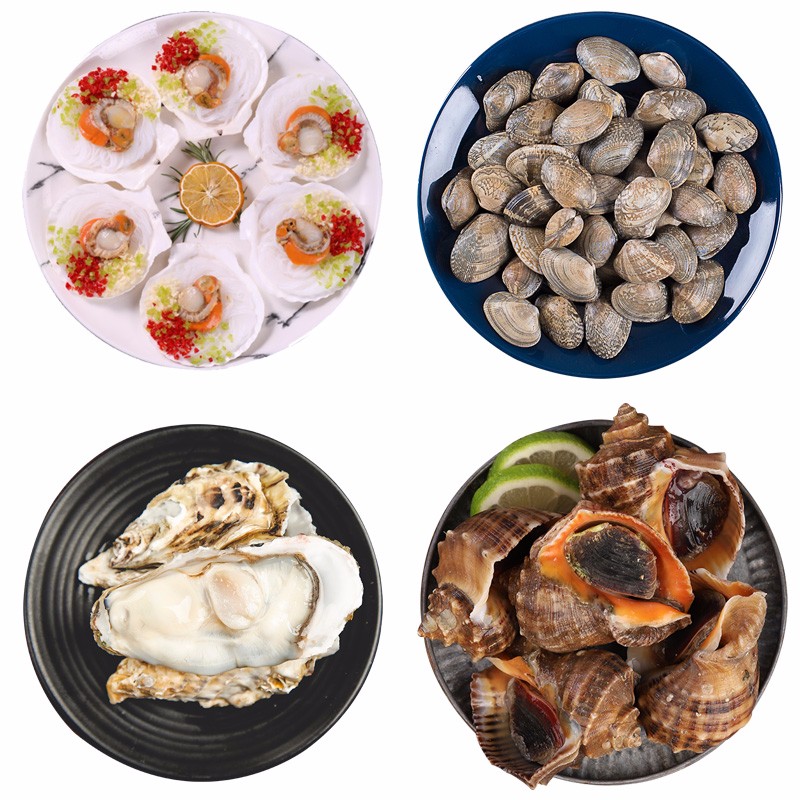 2kg 顺丰 贝类套餐 扇贝生蚝蛤蜊海螺各1斤 海鲜水产 参数