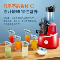 九阳(Joyoung)榨汁机 原汁机低速多汁家用多功能果汁机 可制作冰淇淋JYZ-V919