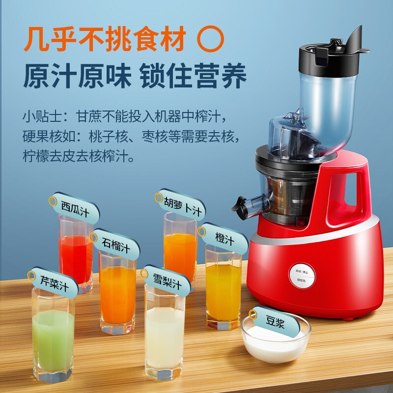 九阳(Joyoung)榨汁机 原汁机低速多汁家用多功能果汁机 可制作冰淇淋JYZ-V919