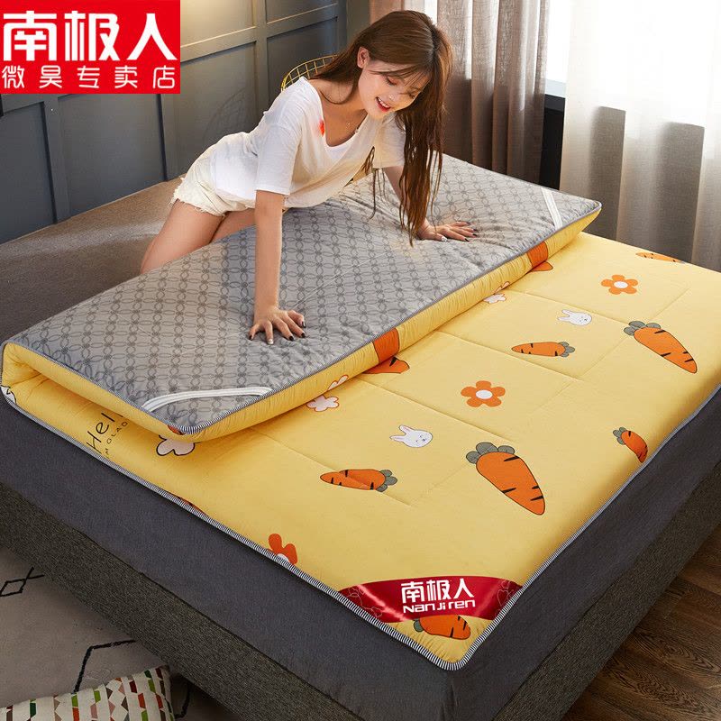 床垫加厚软垫家用垫褥宿舍床褥子学生单人租房专用榻榻米海绵垫被图片