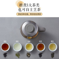 小熊(Bear)煮茶器 0.8L养生壶电水壶热水壶蒸汽喷淋式 304不锈钢烧水壶黑茶煮茶壶茶具 ZCQ-A08H2