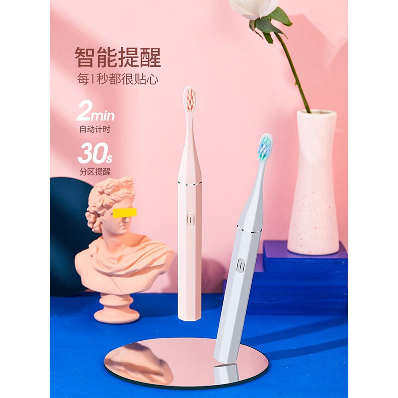 纳美(Namei)2806电动牙刷成人声波震动充电式牙刷粉色高端情侣电动牙刷两款包装随机发货