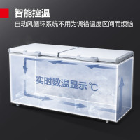 德玛仕(DEMASHI) 冰柜商用 大容量冷藏冷冻转换柜 保鲜冰箱家用 卧式冰柜展示柜 卧式冰柜BD-680(220V)