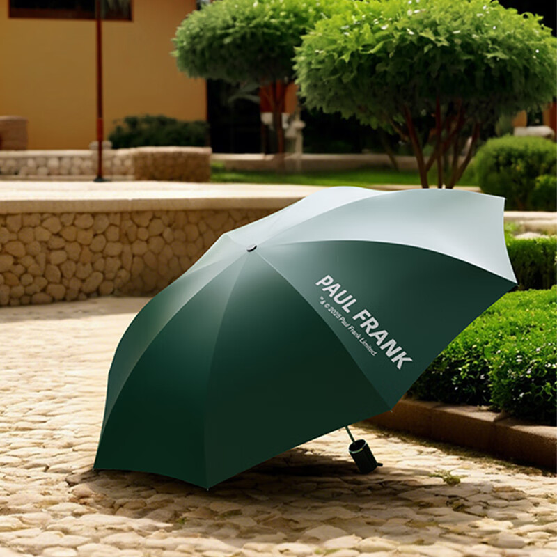 大嘴猴(Paul Frank)十骨三折雨伞PFU204遮阳伞太阳伞晴雨两用伞防晒防外线紫高清大图