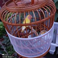 鸟笼网纱罩防尘防撒透网纱衣通用大中小鸟笼网纱套防溅减少清洁罩 白色.[不是笼子哦] L高度30周长140-200[网纱]