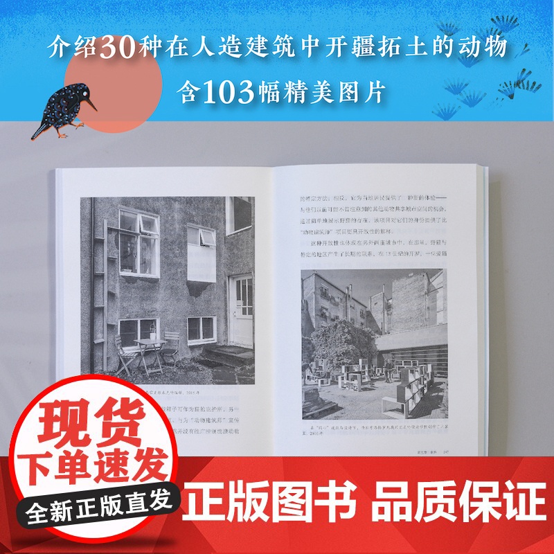 [天际线]动物建筑 含103幅建筑与当代艺术精美图片 介绍30种在人造建筑中开疆拓土动物 跨越建筑和生态的颠覆之作 科普高清大图