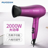 飞科(FLYCO) 电吹风机 FH6618 大功率负离子吹风机2000W 过热保护恒温家用发廊吹风筒 手柄可折叠