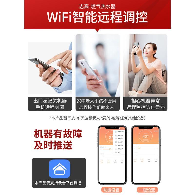 志高燃气热水器家用12升13L恒温天然气液化气煤气强排平衡式16升 十升彩屏手机无线控制 天然气