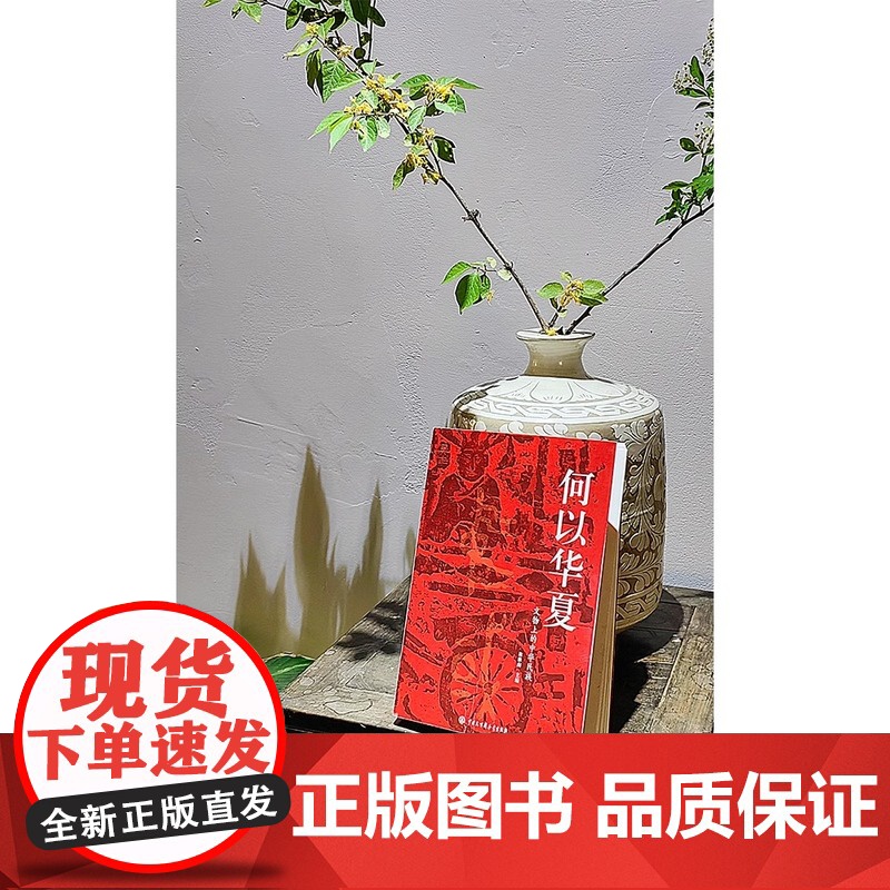 何以华夏:文物上的中华民族 翁淮南 主编 会说话的文物 历史故事读懂中国 文物历史 博物馆物质文化史 中华民族共同体 炎高清大图