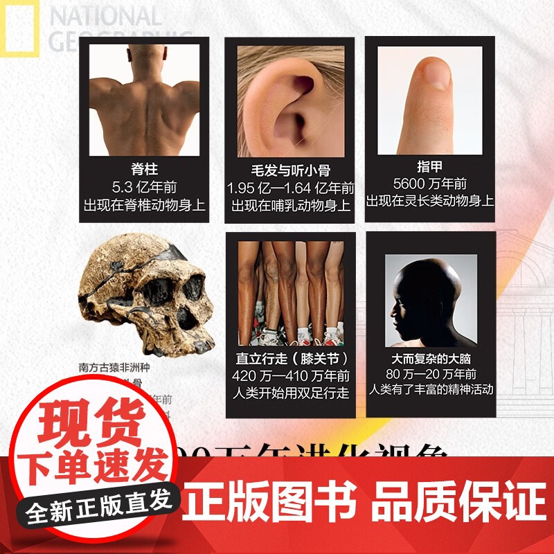 人类简史:从智人走向未来(从600万年进化视角,看清人类世界的底层逻辑。美国自然历史博物馆指南,国家地理荣誉出品)高清大图