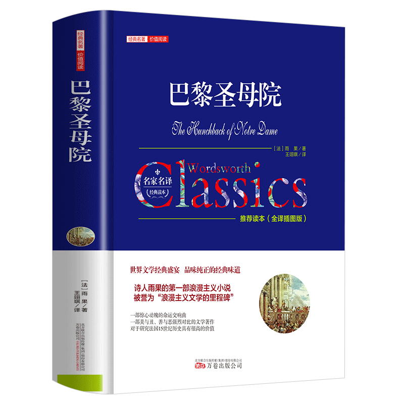 正版新书]巴黎圣母院(全译插图版)/经典名著价值阅读 [The Hu高清大图