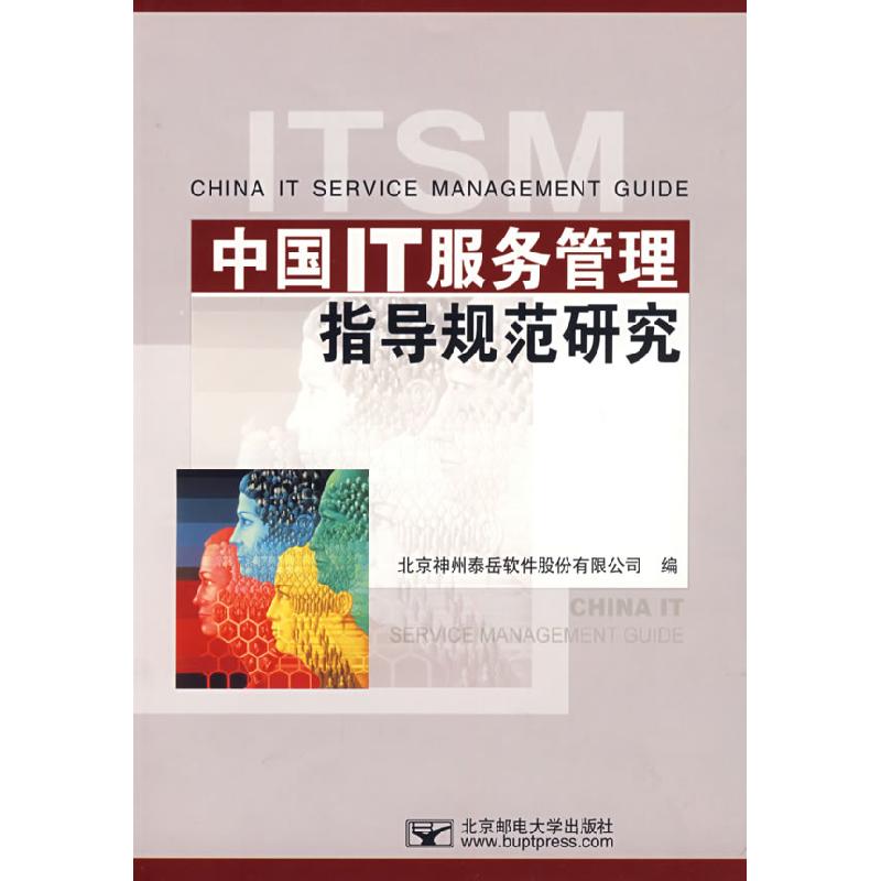 正版新书]中国IT服务管理指导规范研究北京神州泰岳软件股份有限高清大图