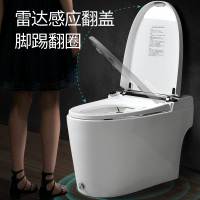 希箭HOROW全自动遥控坐便器一体式智能马桶瞬时即热坐便器1