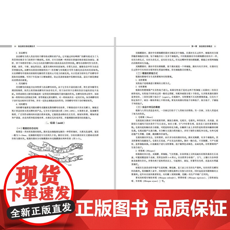 教材.食品微生物检测技术(高等学校食品质量与安全专业适用教材/中国轻工业“十四五”规划立项教材)杜欣军出版年份2023年高清大图