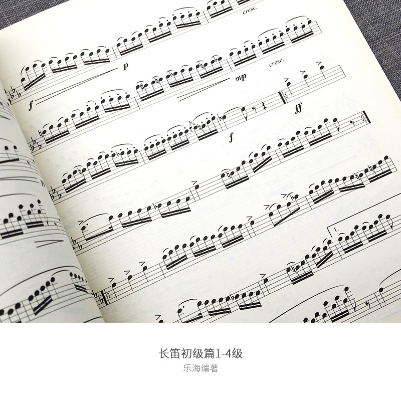 五线谱乐海编著北京日报出版西洋乐器教程系列长笛考级长笛初级>800