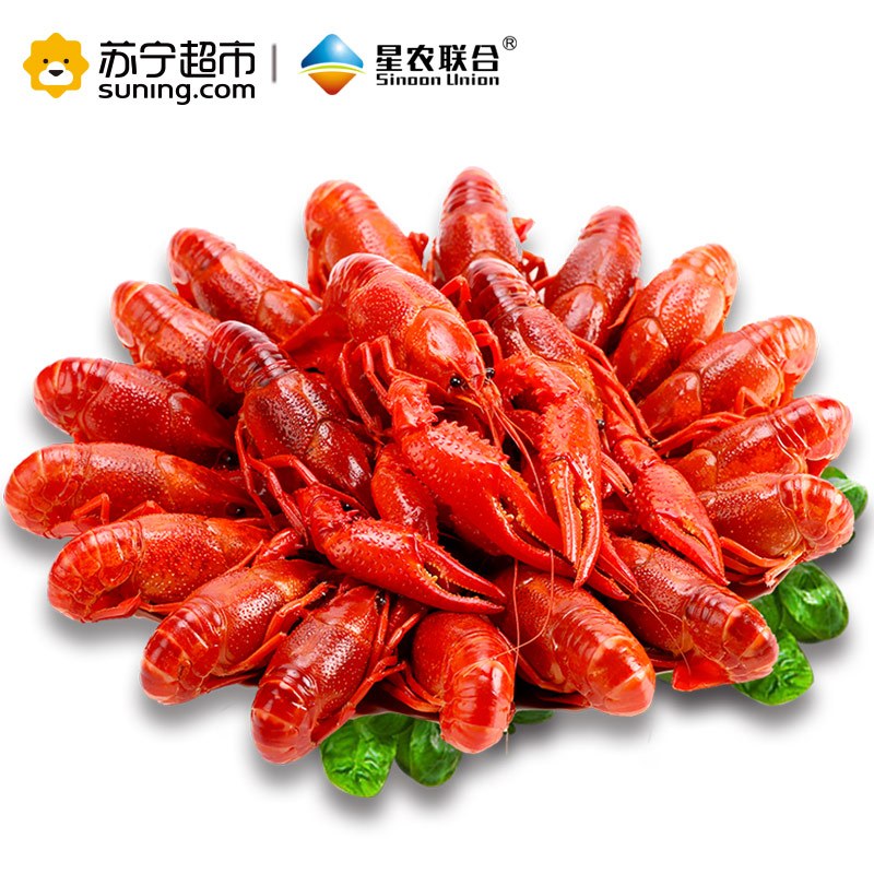 红小厨小龙虾十三香4-6钱 34-50只1.8kg