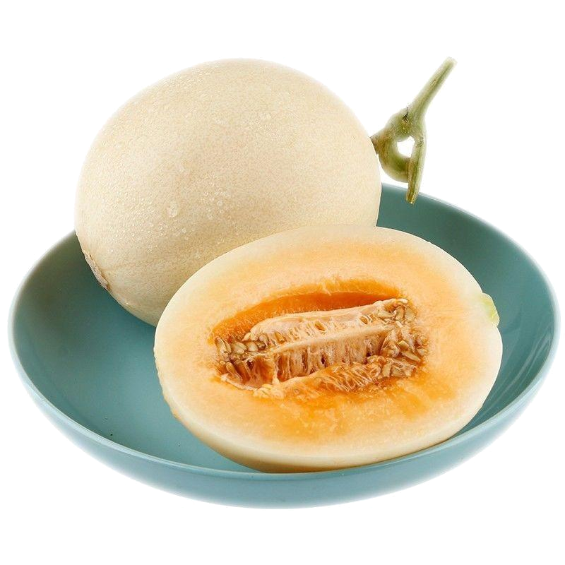 [西沛生鲜]西沛国产特产 云南郁金香甜瓜 5斤装 中果 单果200-400g